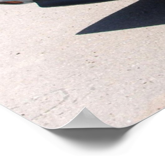 1970 Dodge Challenger TA Poster (Hoek)