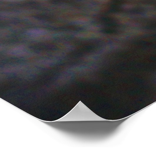 1970 Dodge Dart Swinger Poster (Hoek)