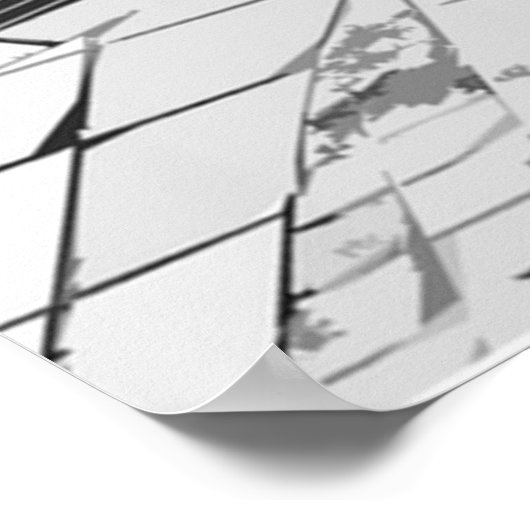 1970 Dodge-lader Poster (Hoek)