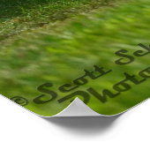 1971 Dodge Challenger R/T 440 sixpack Poster (Hoek)