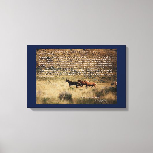 1971 Wild Free Roaming Horses & Burros Act Canvas (Voorkant)