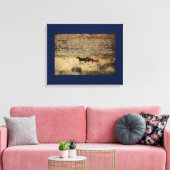 1971 Wild Free Roaming Horses & Burros Act Canvas Afdruk (Insitu (Woonkamer))