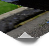 1972 Chevrolet Camaro RS Poster (Hoek)