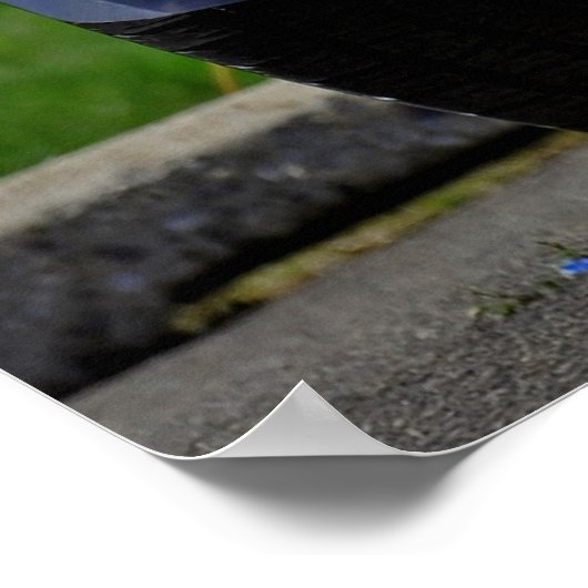 1972 Chevy Camaro RS Poster (Hoek)