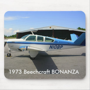 1973 Beechcraft BONANZA Muismat