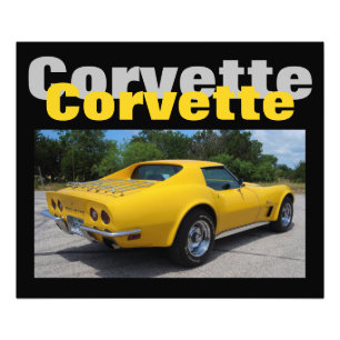 1973 Corvette Stingray Designer Foto Print Afdruk
