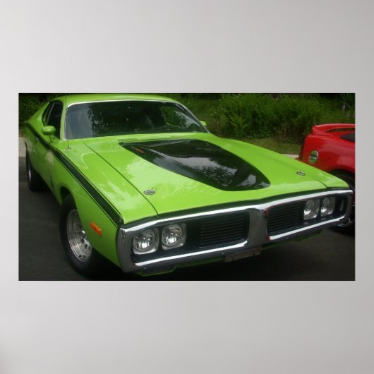 1973 Dodge-lader Poster (Voorkant)
