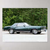 1977 Chevrolet/Chevy Monte Carlo Poster (Voorkant)