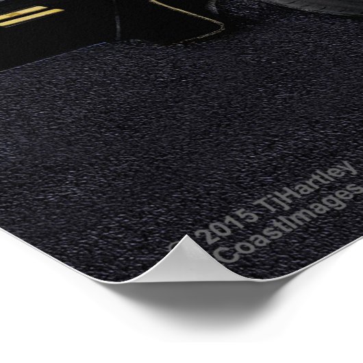 1978 TA 6.6 TRANSAM-POSTER POSTER (Hoek)