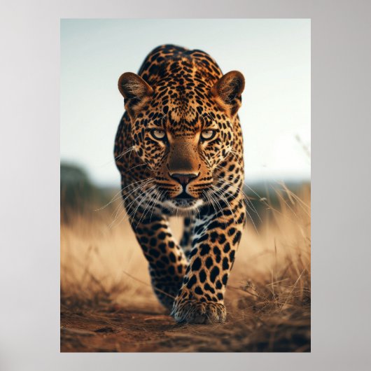 1979 Majestic Wild Animals Habitat Poster (Voorkant)