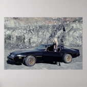 1979 Pontiac Trans Am 6,6 Liter V8 Poster (Voorkant)