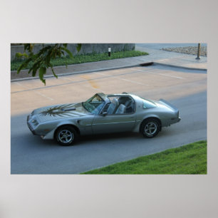 1979 Tiende verjaardag Trans Am Poster