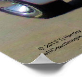 1979 TRANS AM 6.6L POSTER (Hoek)