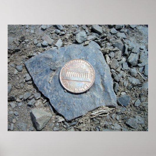 1980 American Penny (Front) Poster (Voorkant)