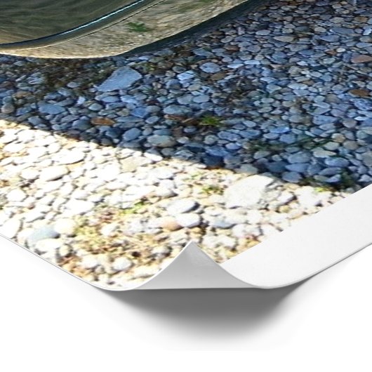 1992 C4 Corvette Poster (Hoek)