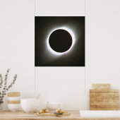 1995 Totaal zonnepanelen Poster (Keuken)