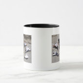 1997 Dryden Research Vliegtuig Fleet on Ramp Mok (Midden)