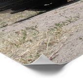 1998 Mercedes-Benz SL500 Roadster Poster (Hoek)