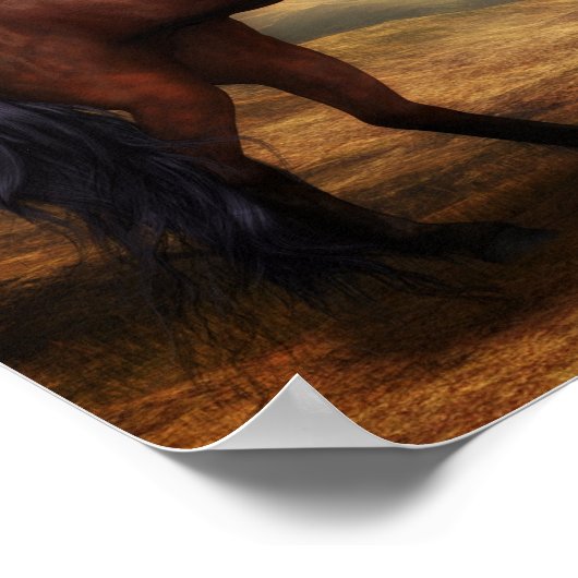 19,00' x14,25' Dueling Stallions Poster schilderen (Hoek)