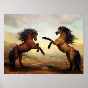 19,00' x14,25' Dueling Stallions Poster schilderen
