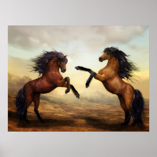 19,00' x14,25' Dueling Stallions Poster schilderen (Voorkant)