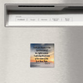 19:17 MAGNEET (Insitu (Vaatwasser))