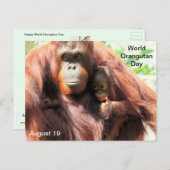 19 augustus - Wereld Orangutan Dag Briefkaart (Voorkant / Achterkant)