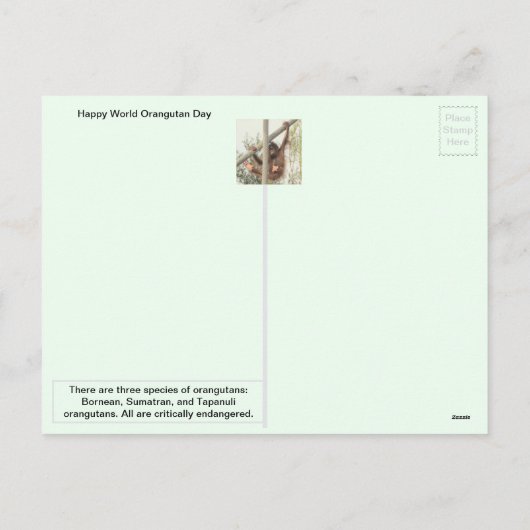 19 augustus - Wereld Orangutan Dag Briefkaart (Achterkant)