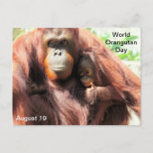 19 augustus - Wereld Orangutan Dag Briefkaart (Voorkant)
