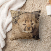 19 dagen oude mannelijke welp. Namibië Kussen (Deken)