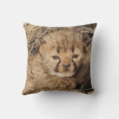 19 dagen oude mannelijke welp. Namibië Kussen (Achterkant)