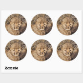 19 dagen oude mannelijke welp. Namibië Ronde Sticker (Vel)
