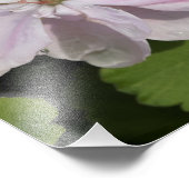 19-inch x13-inch geranium foto afdruk (Hoek)