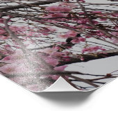 19"x13" Cherry Blossom Buds Foto Afdruk (Hoek)