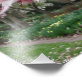 19 x 13-inch roze Magnolia Trees Foto Afdruk (Hoek)