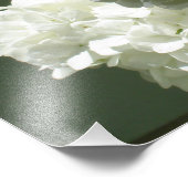 19 x 13-inch witte kranen foto afdruk (Hoek)