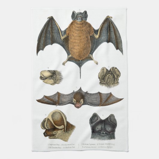 19e C. Bat Print Theedoek (Verticaal)