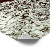 19e C. Visserijgroepering en Goliath-groepering Poster (Hoek)