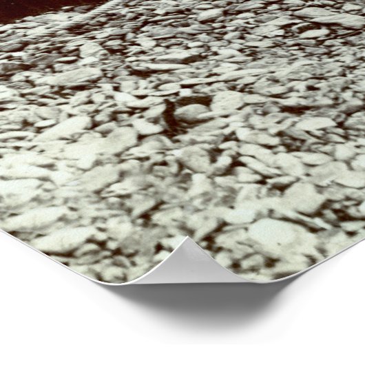 19e C. Visserijgroepering en Goliath-groepering Poster (Hoek)