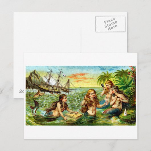 19e C. Zeemeermin Briefkaart (Voorkant / Achterkant)