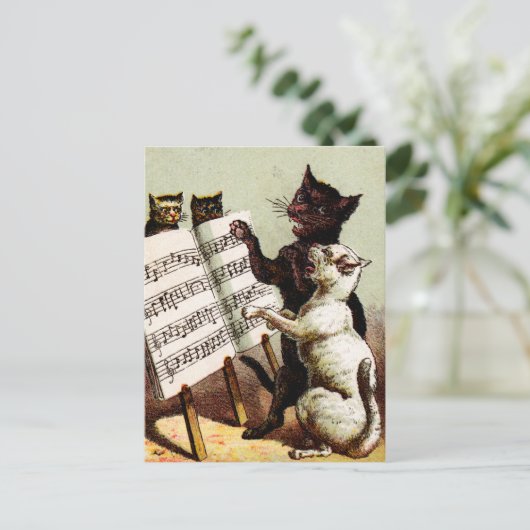 19e C. Zingende katten Briefkaart (Staand voorkant)