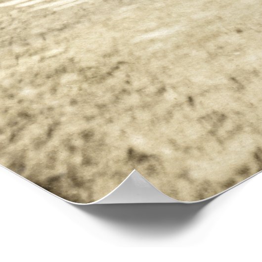 19e C. Zwans in Parijs Poster (Hoek)