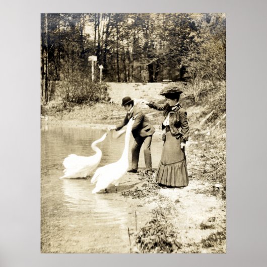 19e C. Zwans in Parijs Poster (Voorkant)