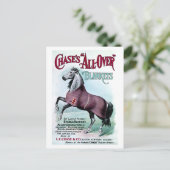 19e eeuw Chase Paardendekens Briefkaart (Staand voorkant)