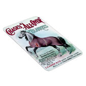 19e eeuw Chase Paardendekens Magneet (Rechterzijde)
