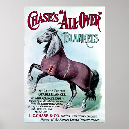 19e eeuw Chase Paardendekens Poster (Voorkant)