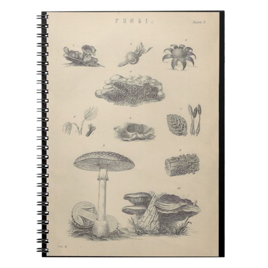 19e eeuw Fungi Illustration Note Book Notitieboek (Voorkant)