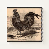 19e eeuw Gallus Sonneratii Roster Notitieboek (Achterkant)