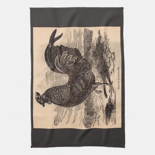 19e eeuw Gallus Sonneratii Roster Theedoek (Verticaal)