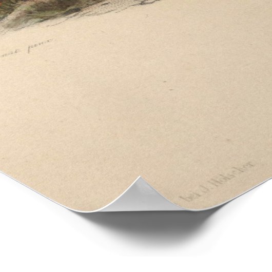 19e eeuw Indische hoofdvertegenwoordiger 36 x 24 P Poster (Hoek)